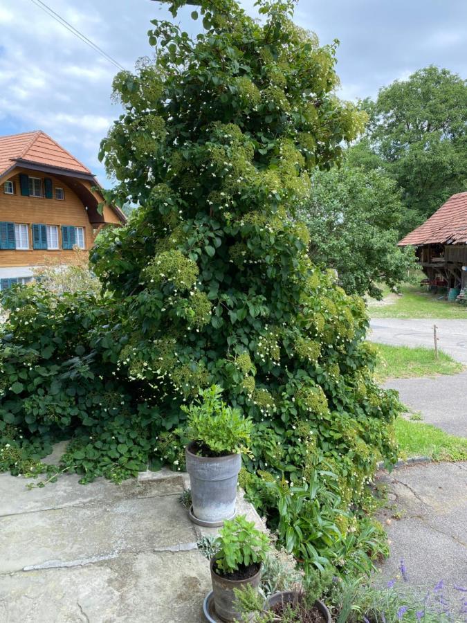 B&B Tannen124 Oberburg Exterior foto