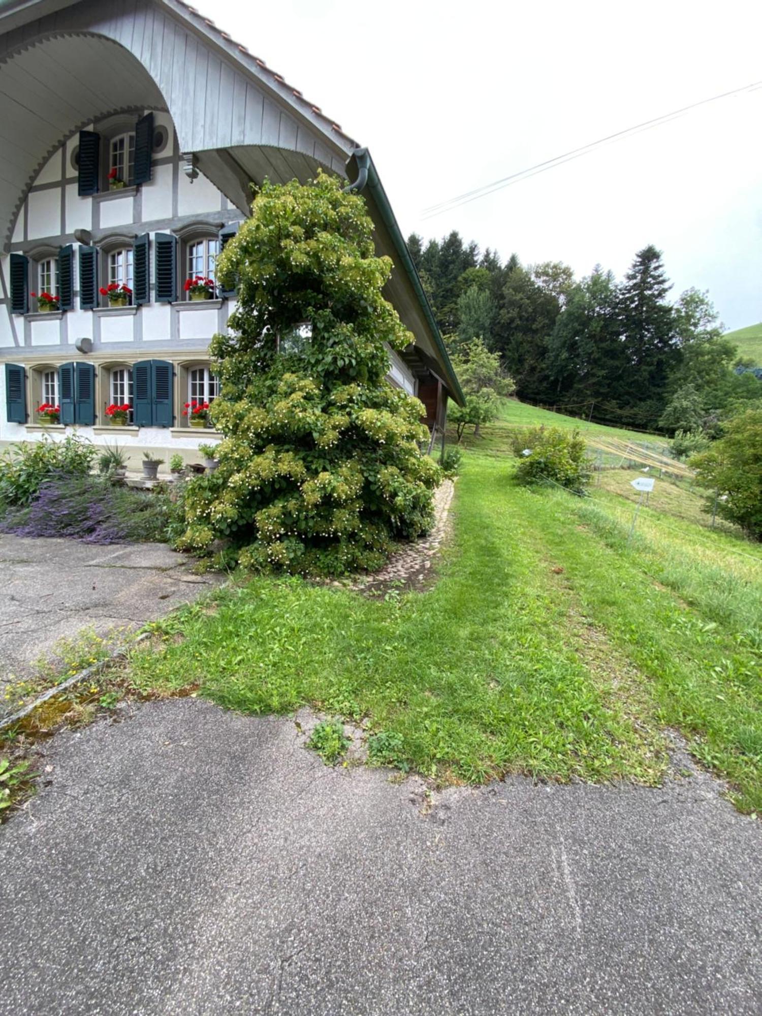 B&B Tannen124 Oberburg Exterior foto