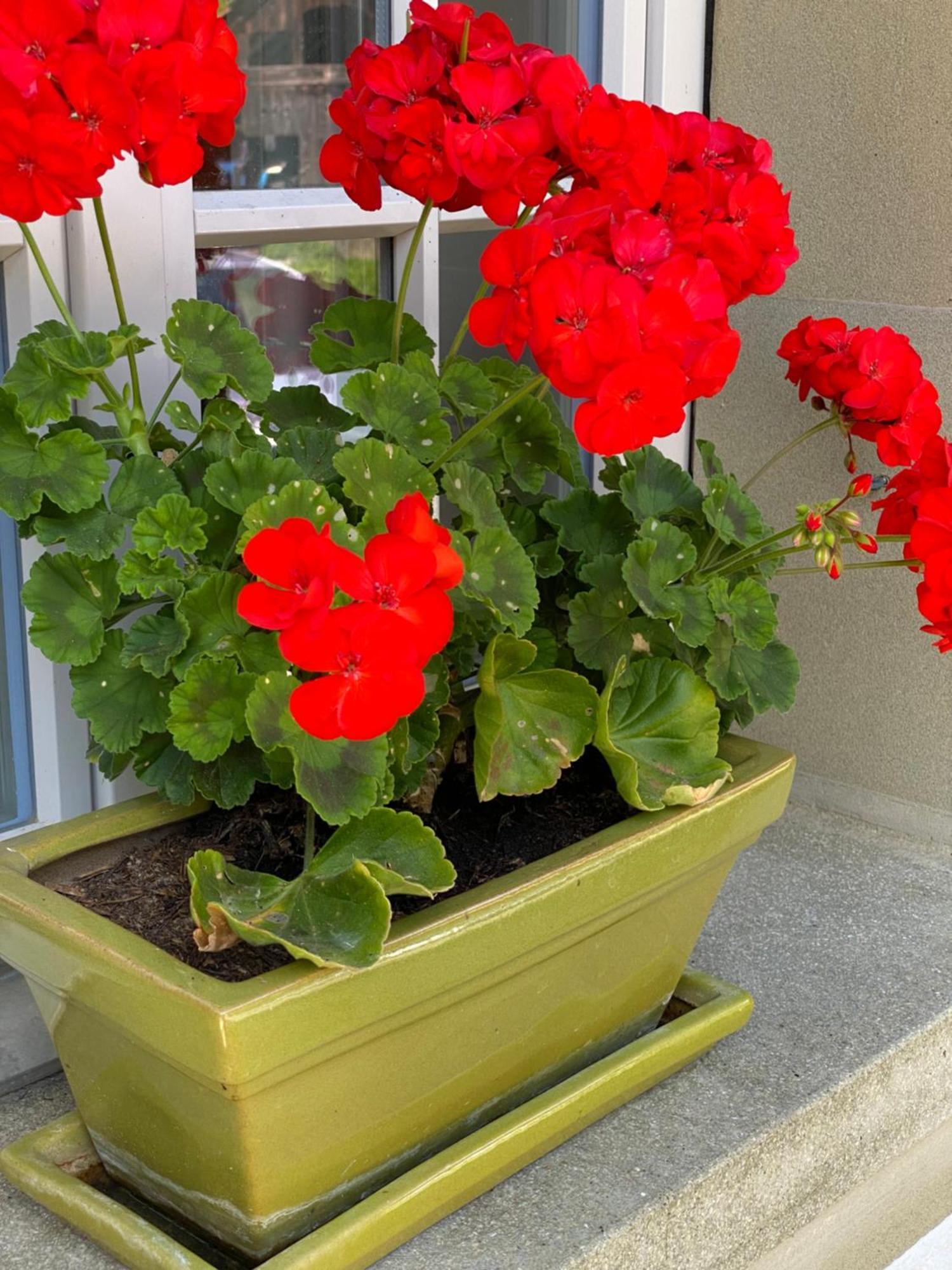 B&B Tannen124 Oberburg Exterior foto
